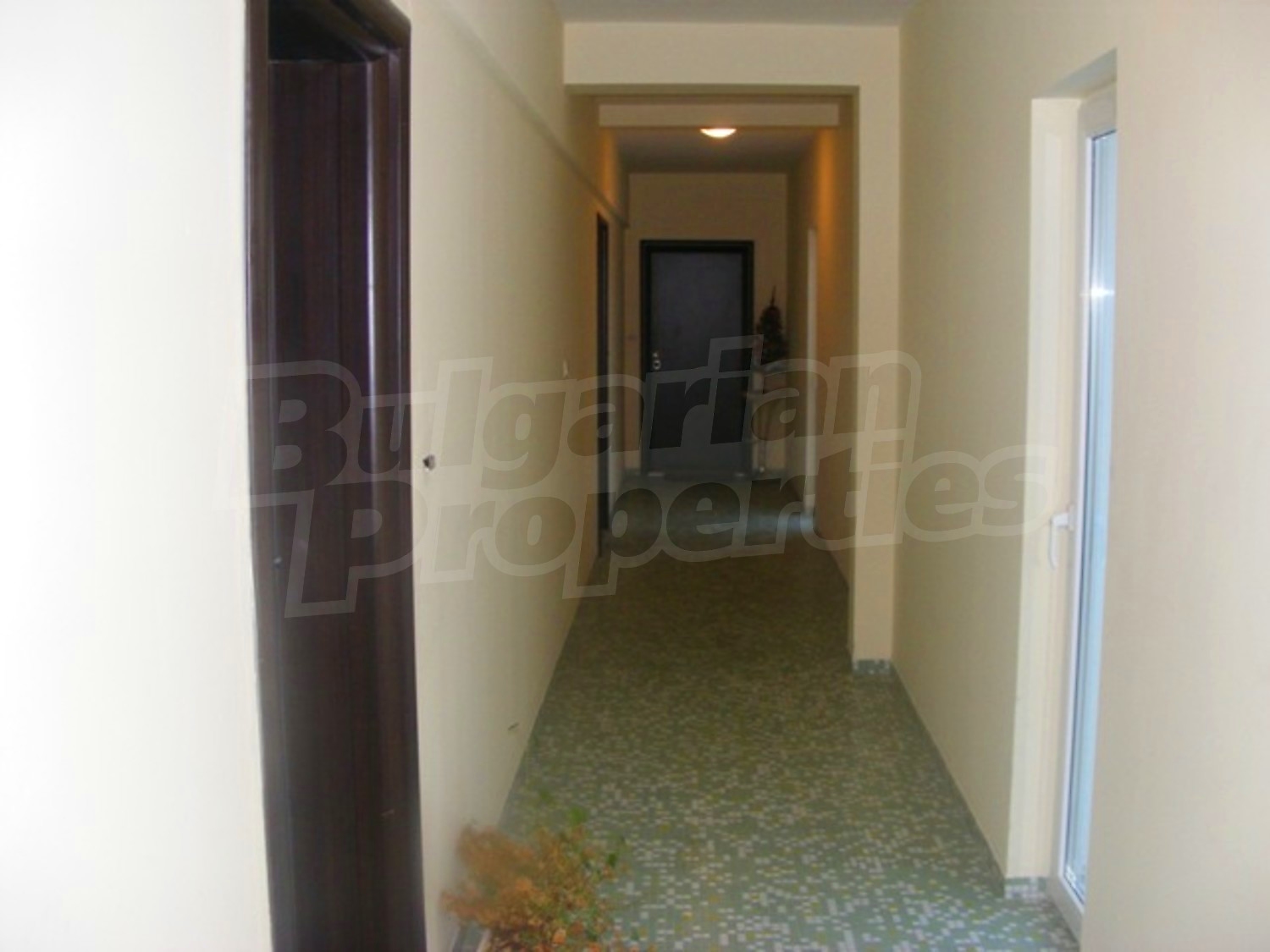 Gallery Picture 14
