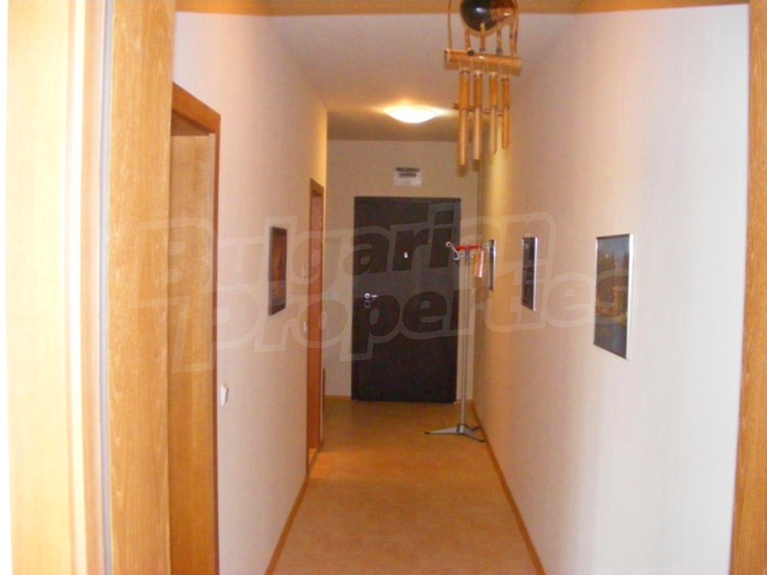 Gallery Picture 16