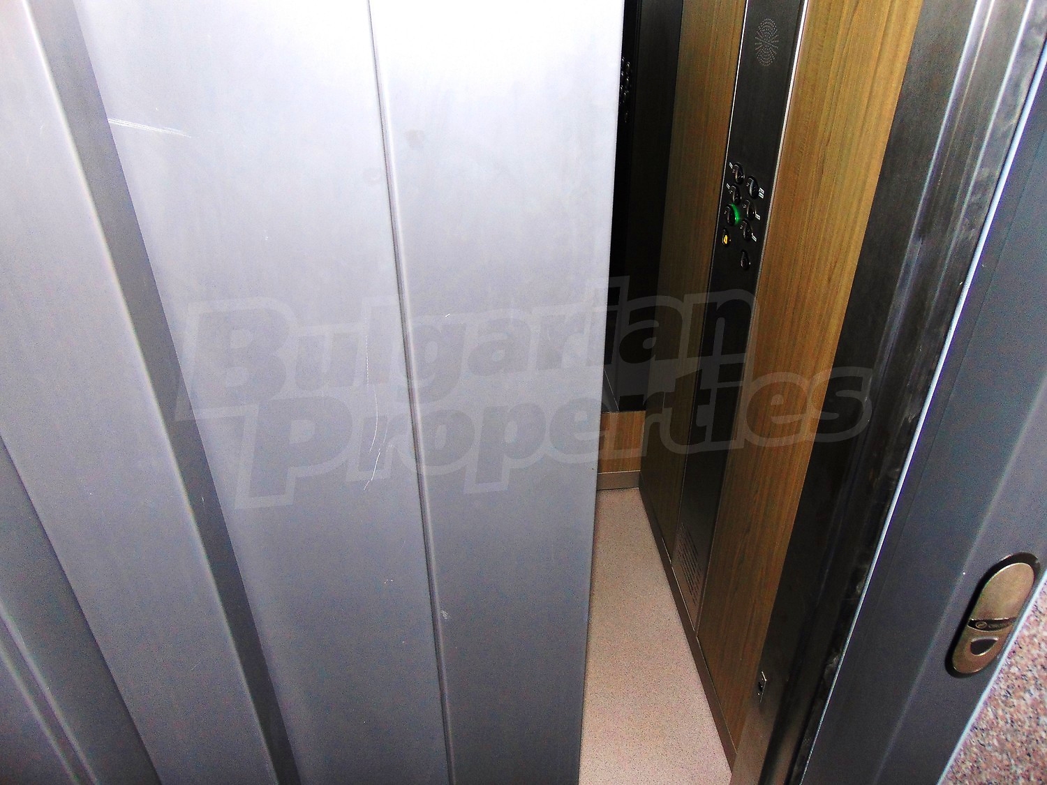 Gallery Picture 10