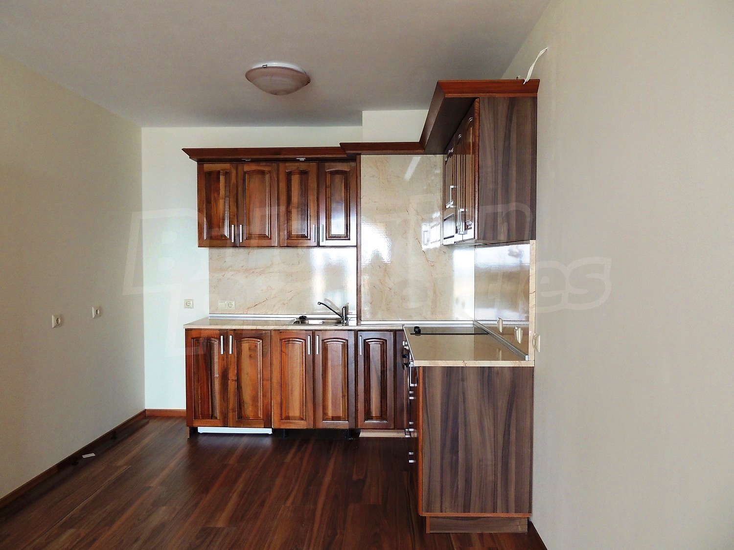Gallery Picture 14
