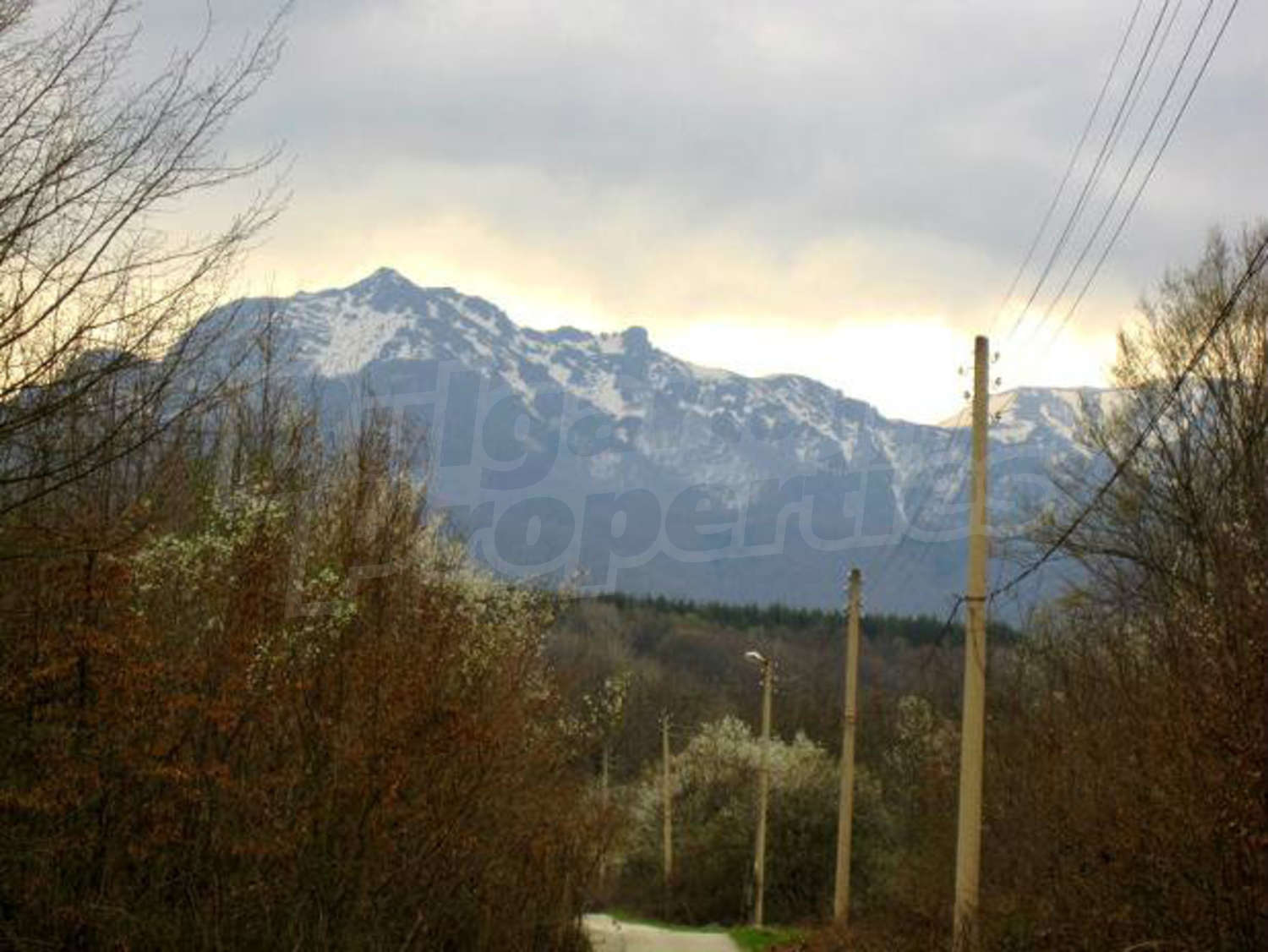 Gallery Picture 16