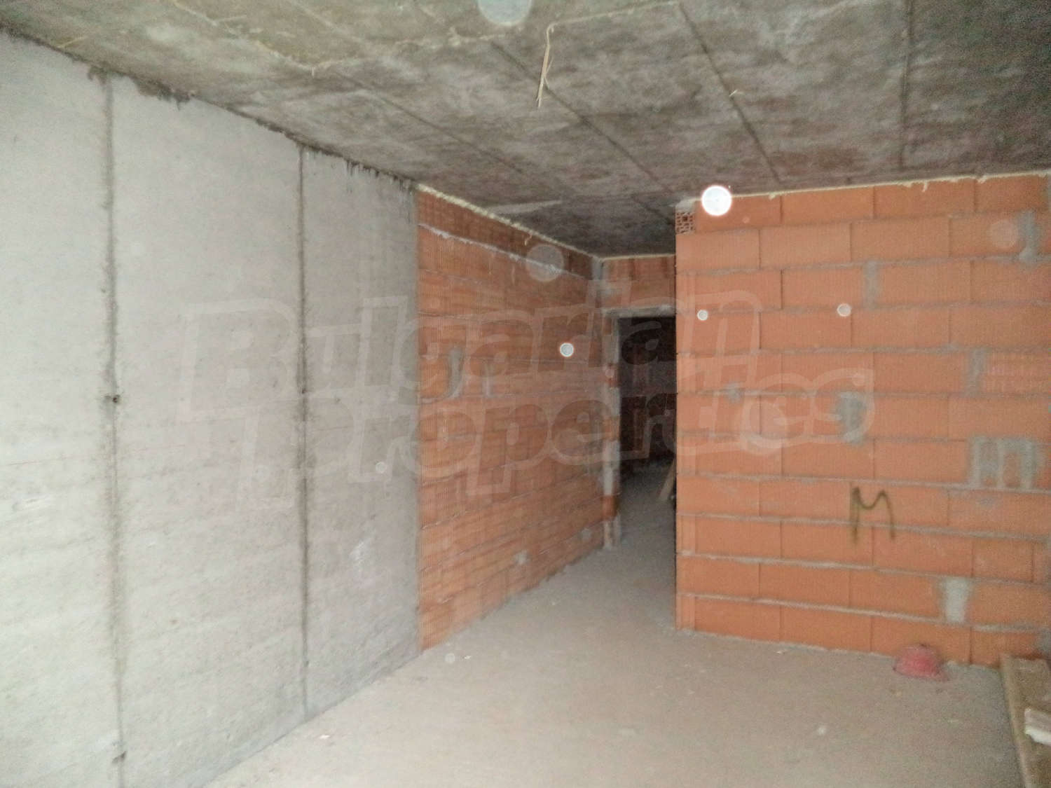 Gallery Picture 14