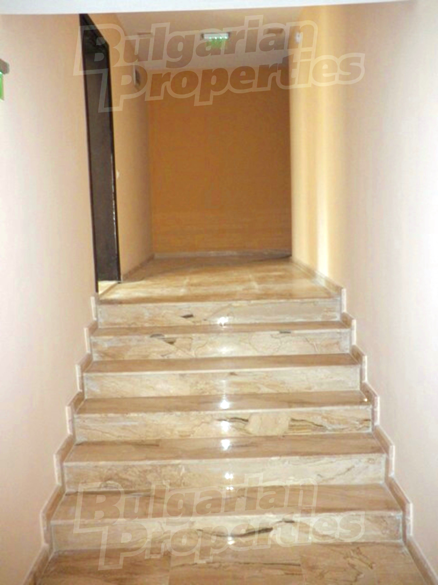 Gallery Picture 15