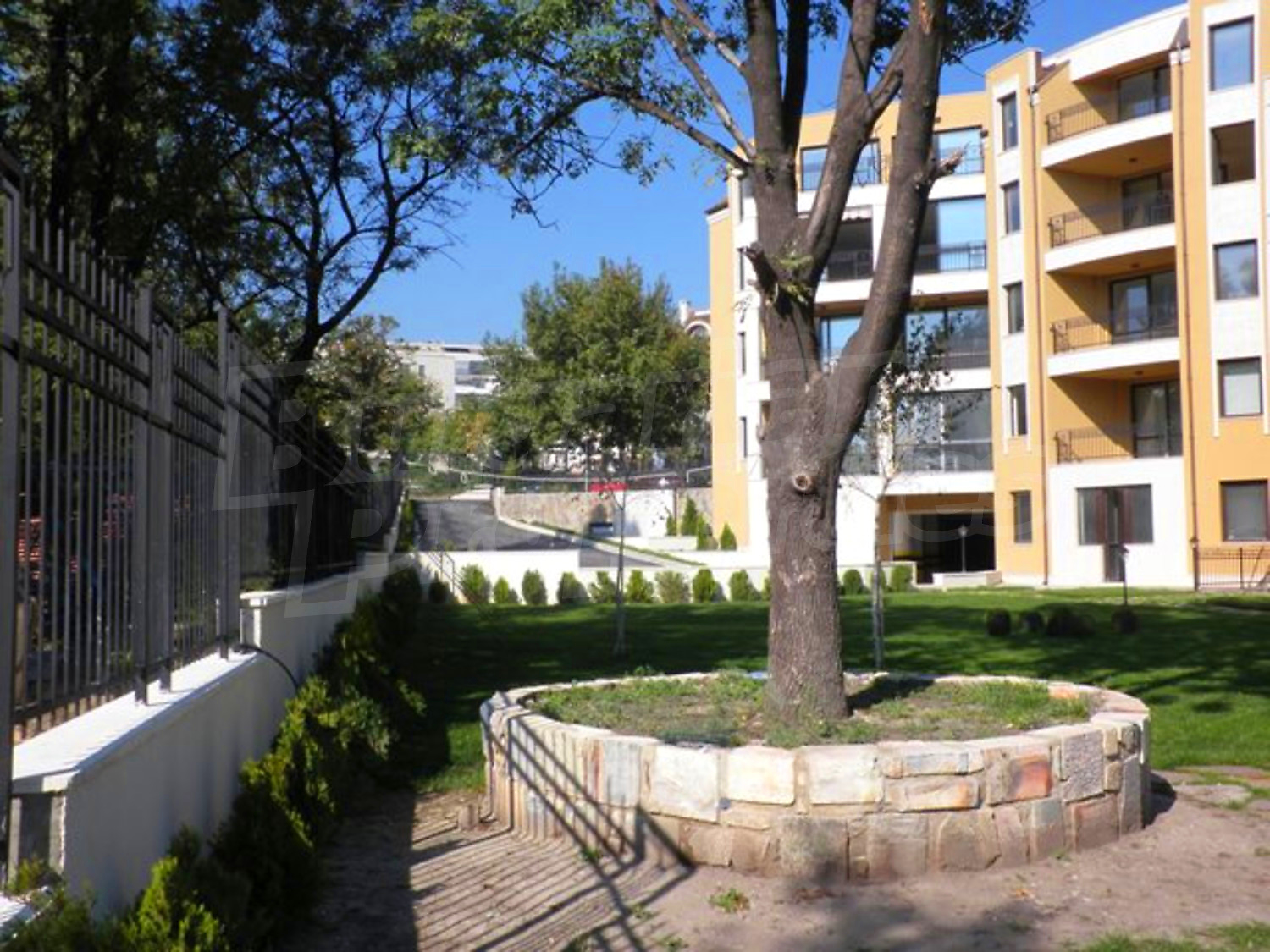 Gallery Picture 7