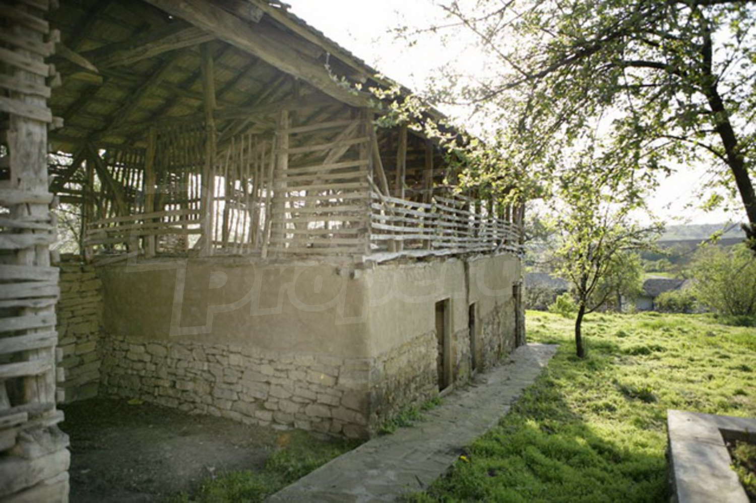 Gallery Picture 21
