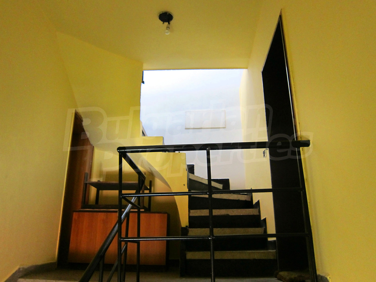 Gallery Picture 45