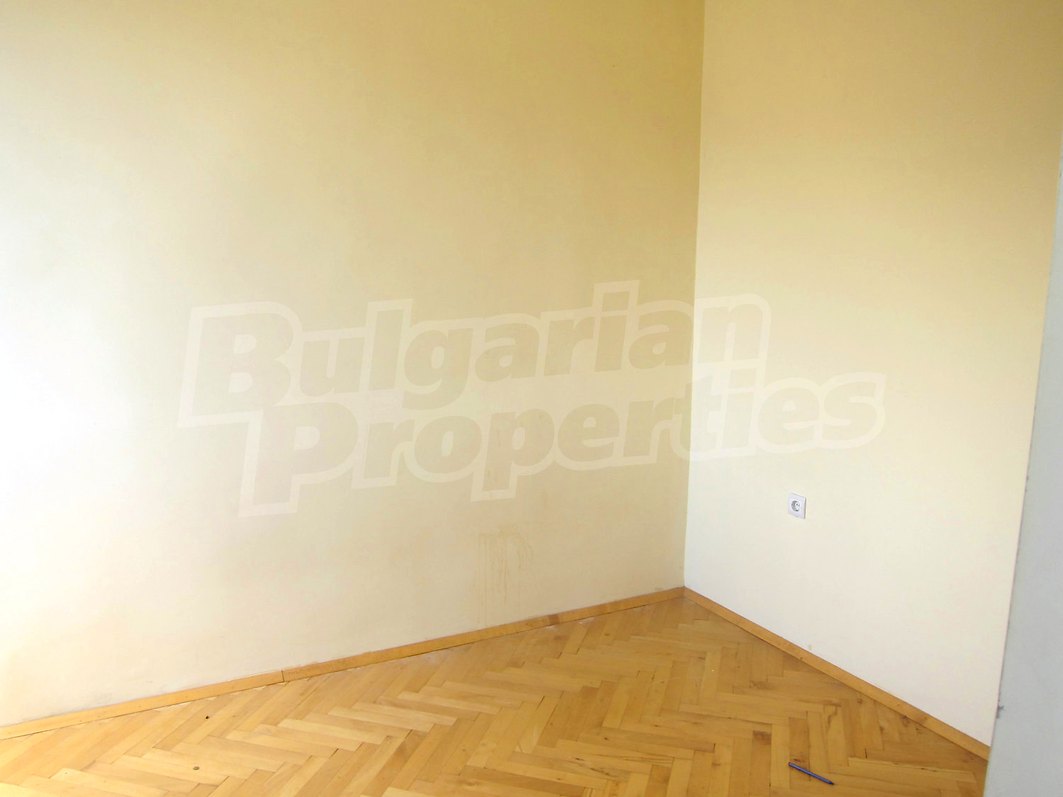 Gallery Picture 6