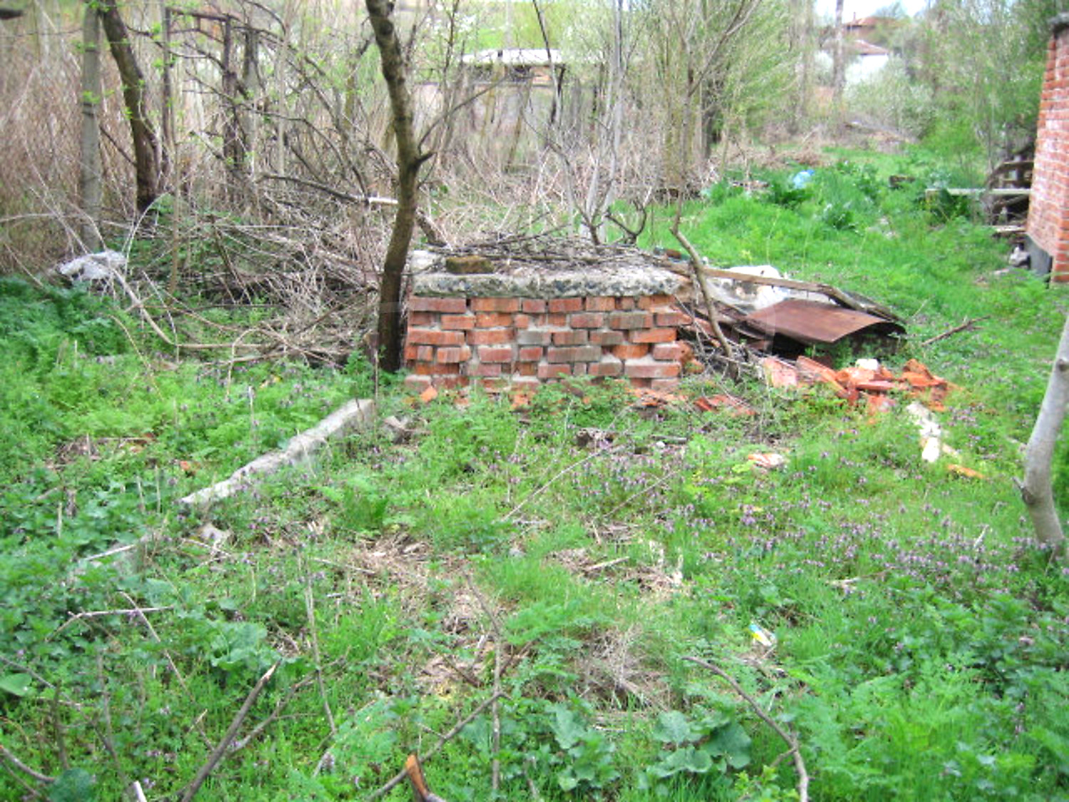 Gallery Picture 11