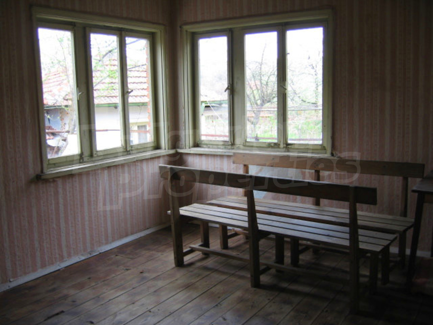 Gallery Picture 17