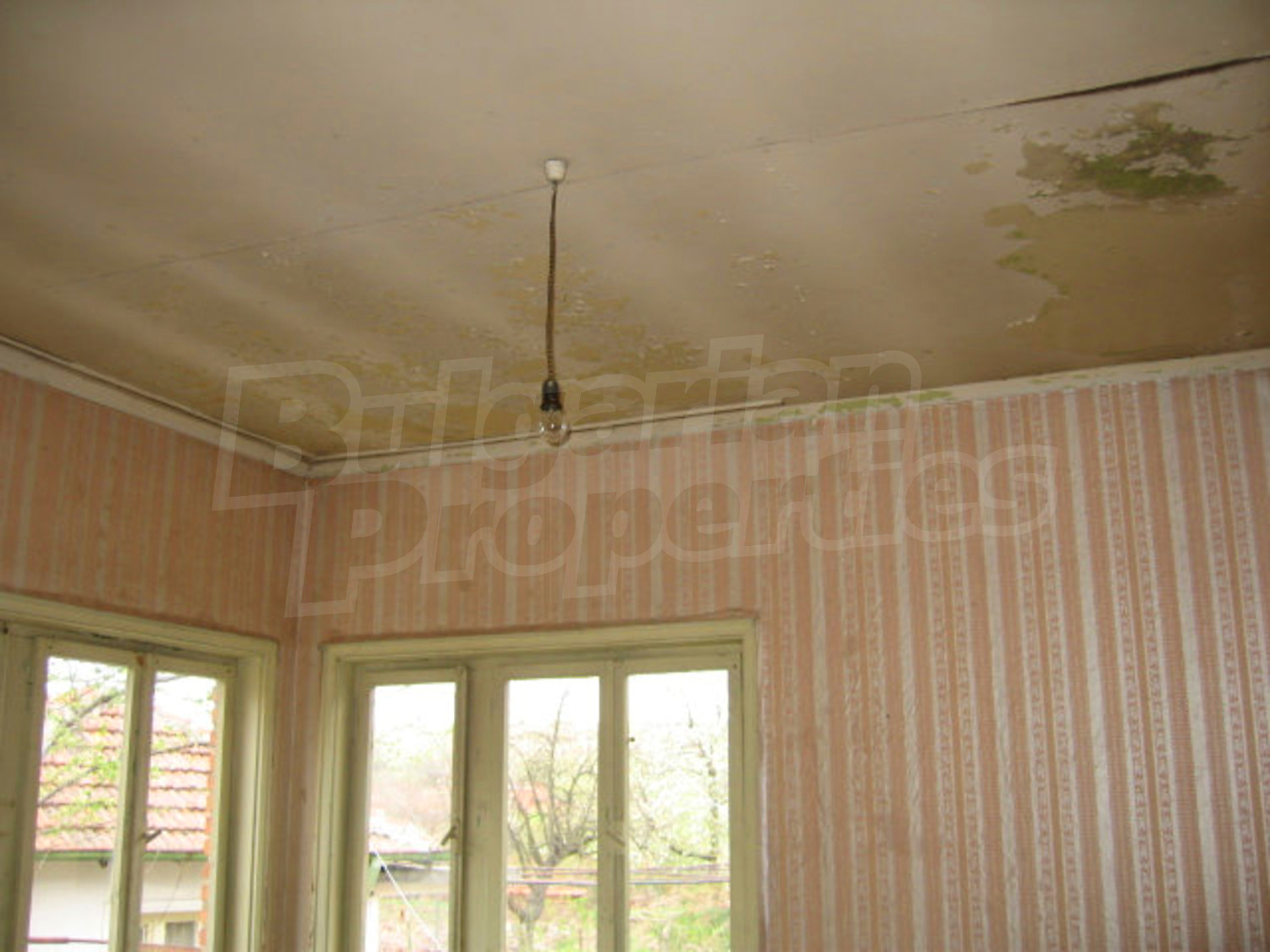 Gallery Picture 18
