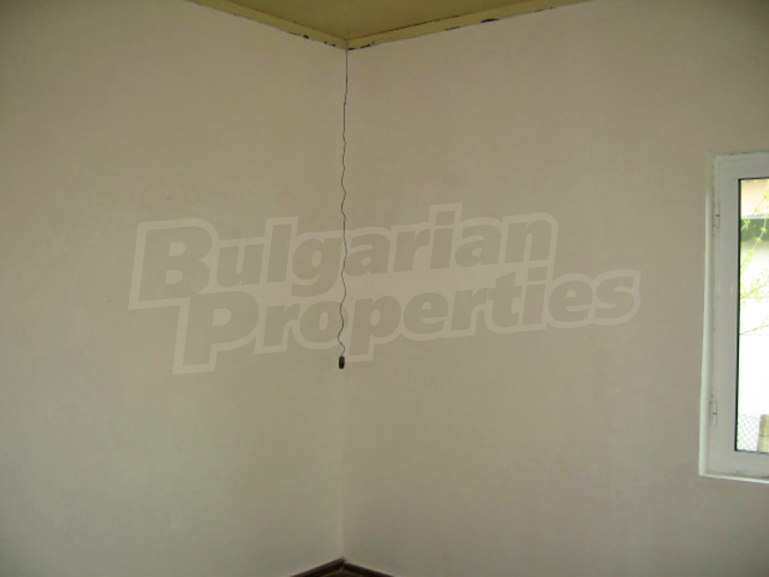 Gallery Picture 21