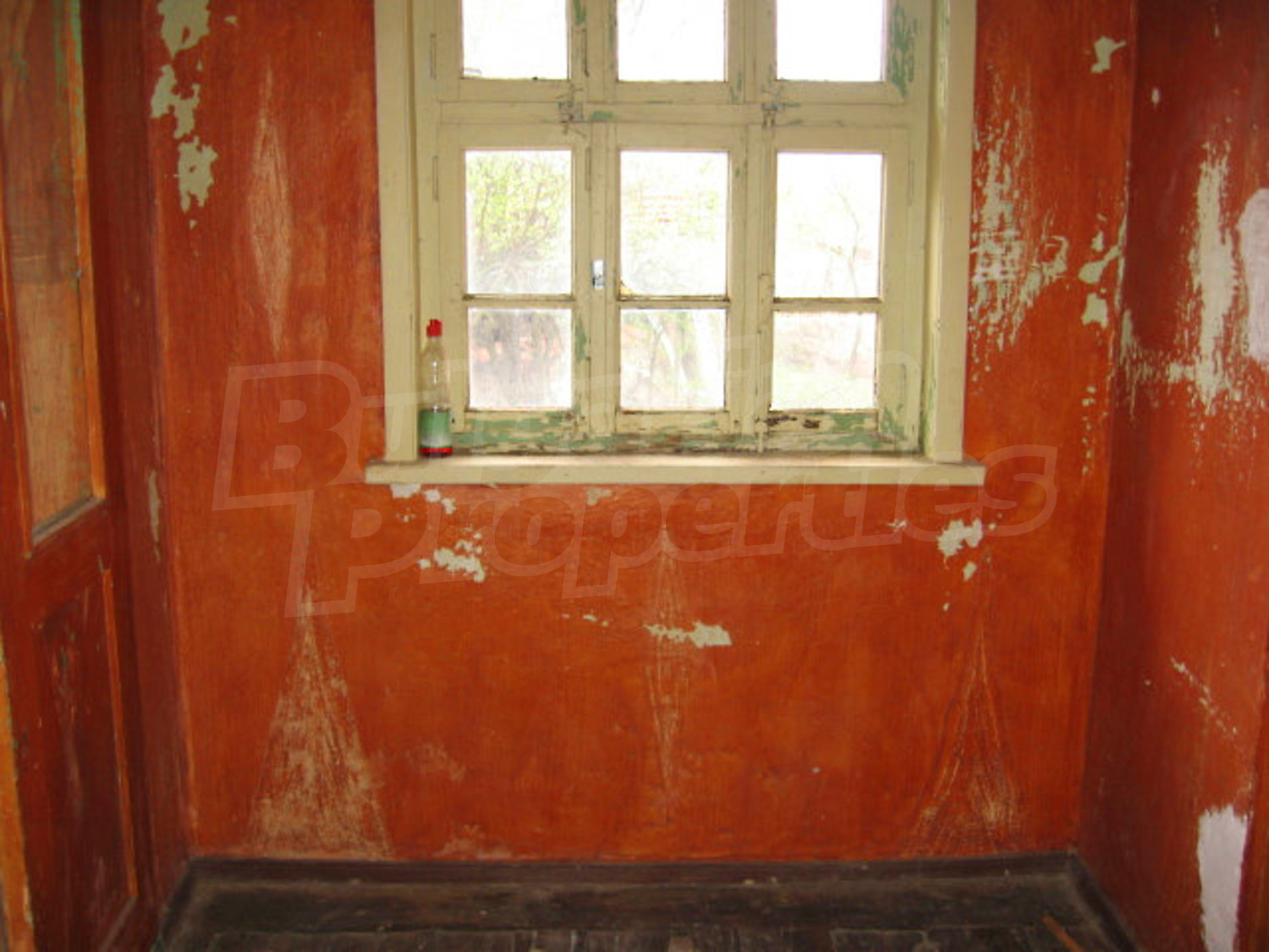 Gallery Picture 28