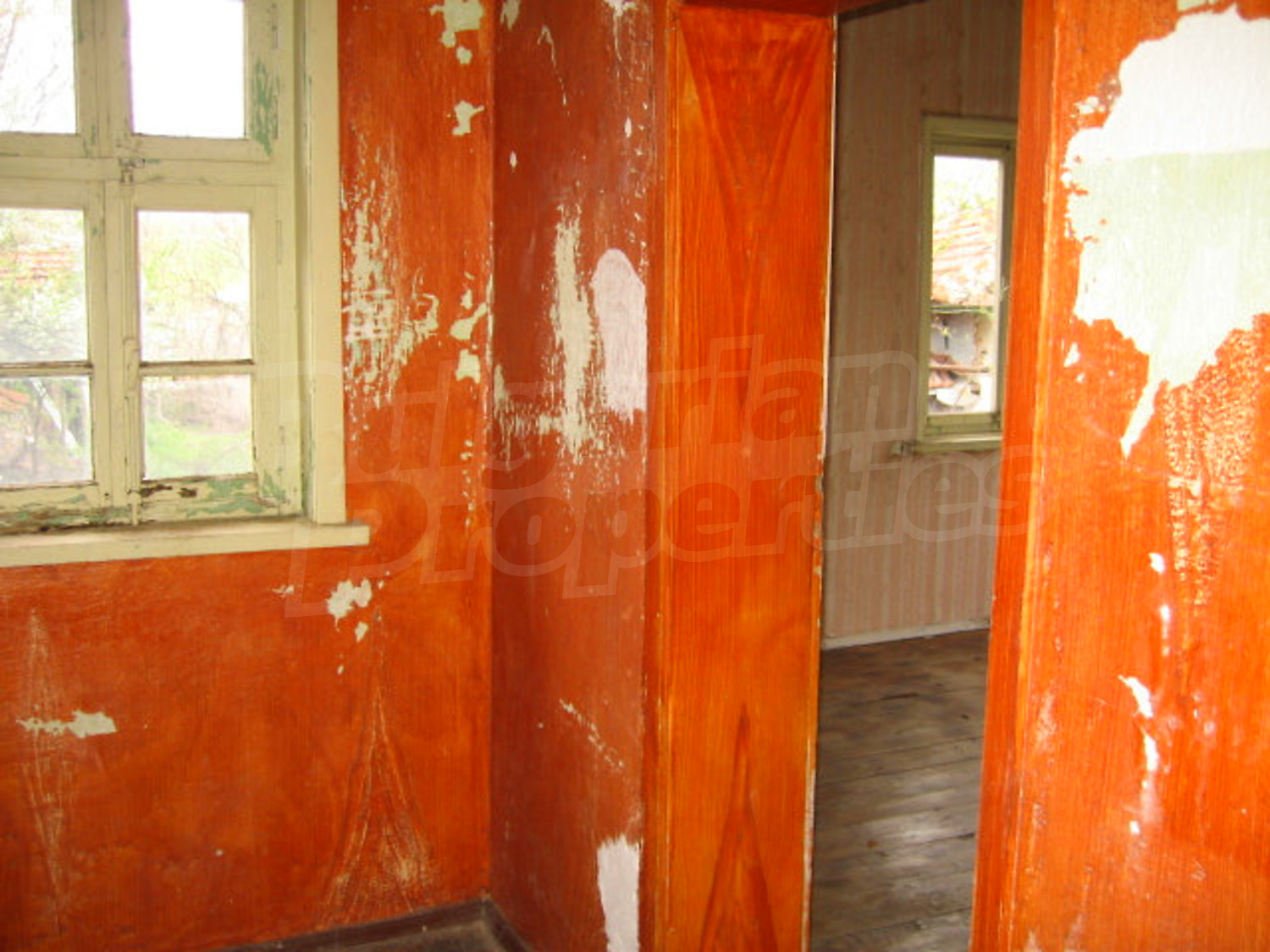Gallery Picture 29