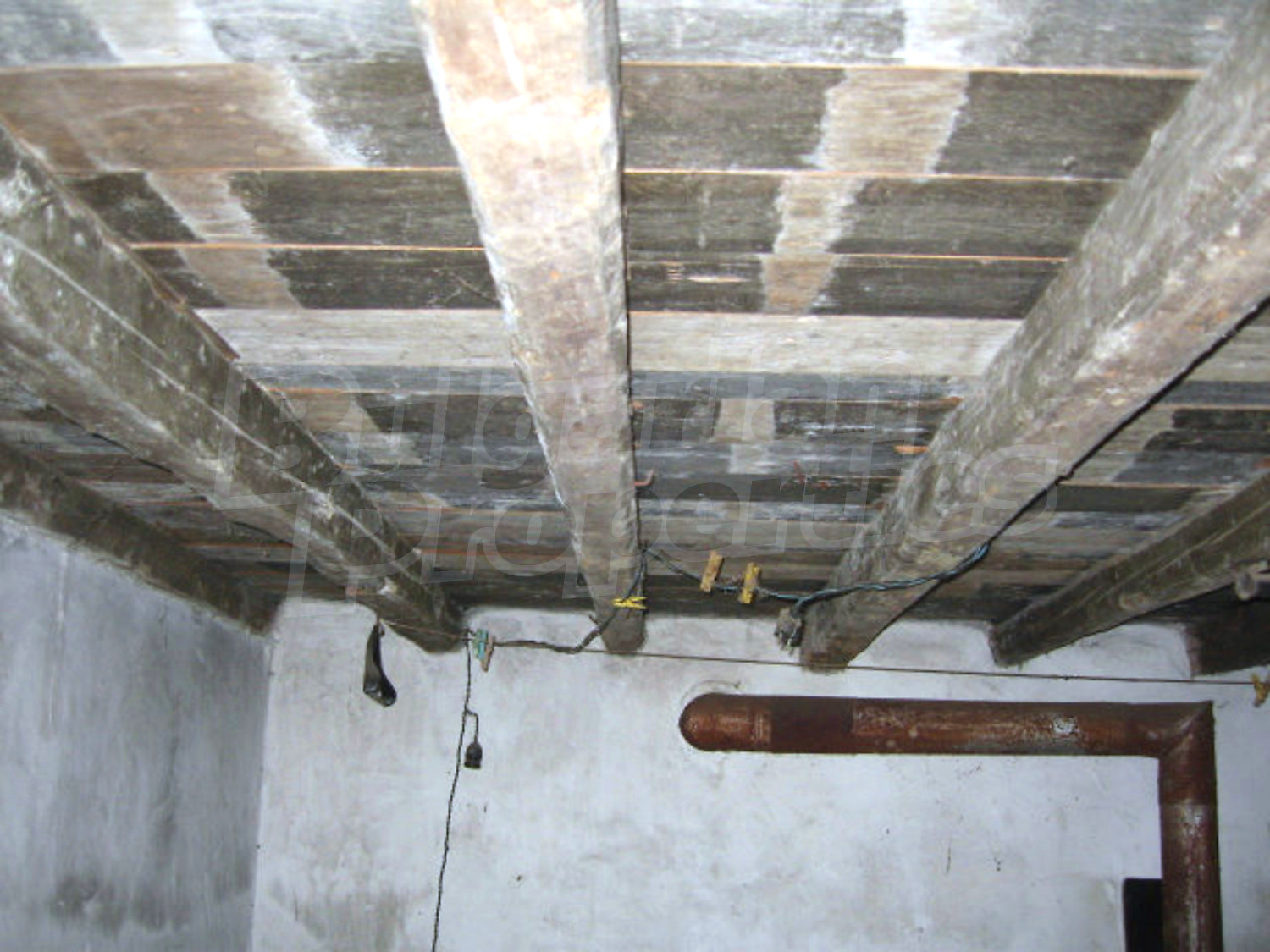 Gallery Picture 34
