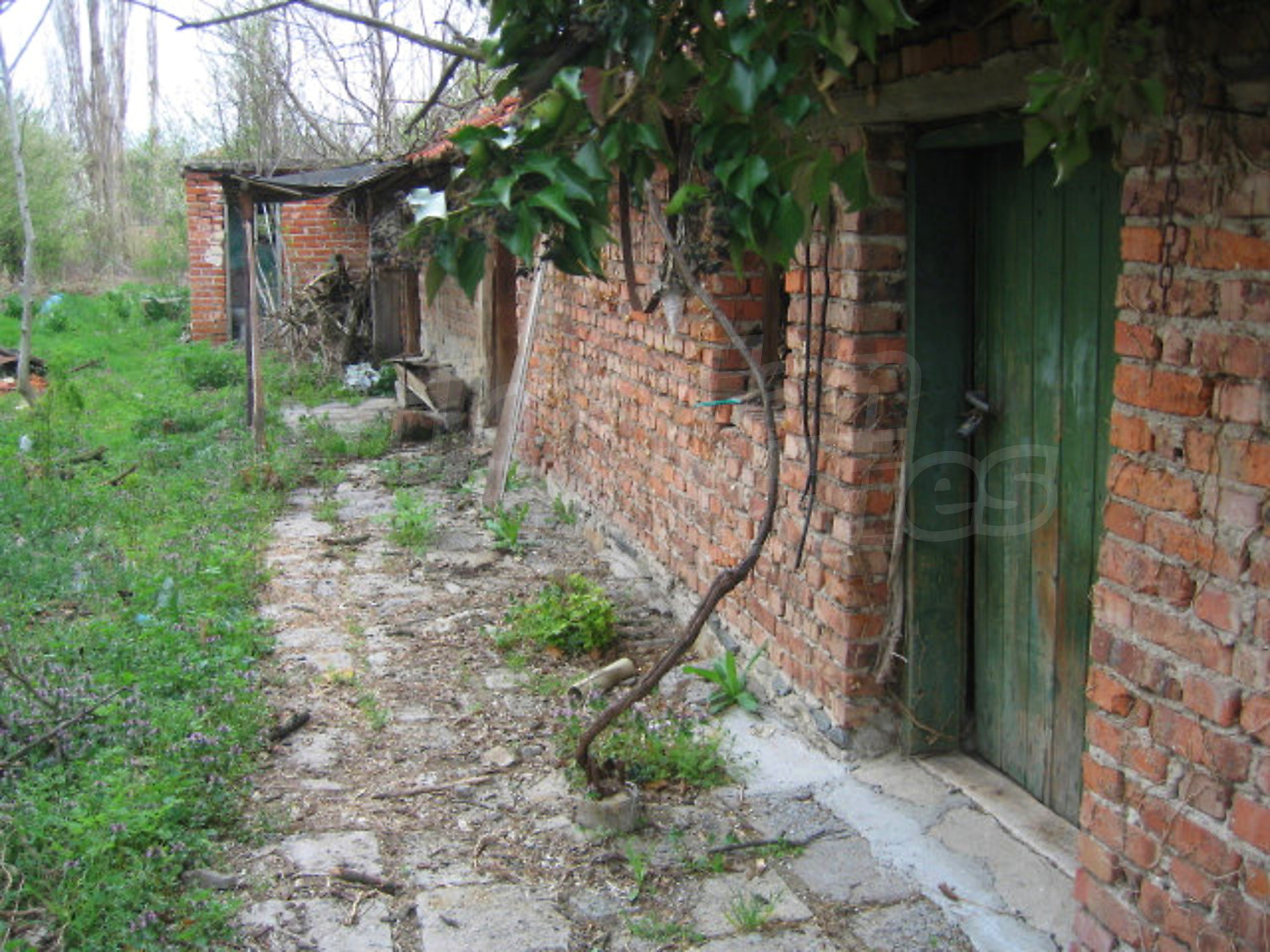 Gallery Picture 9