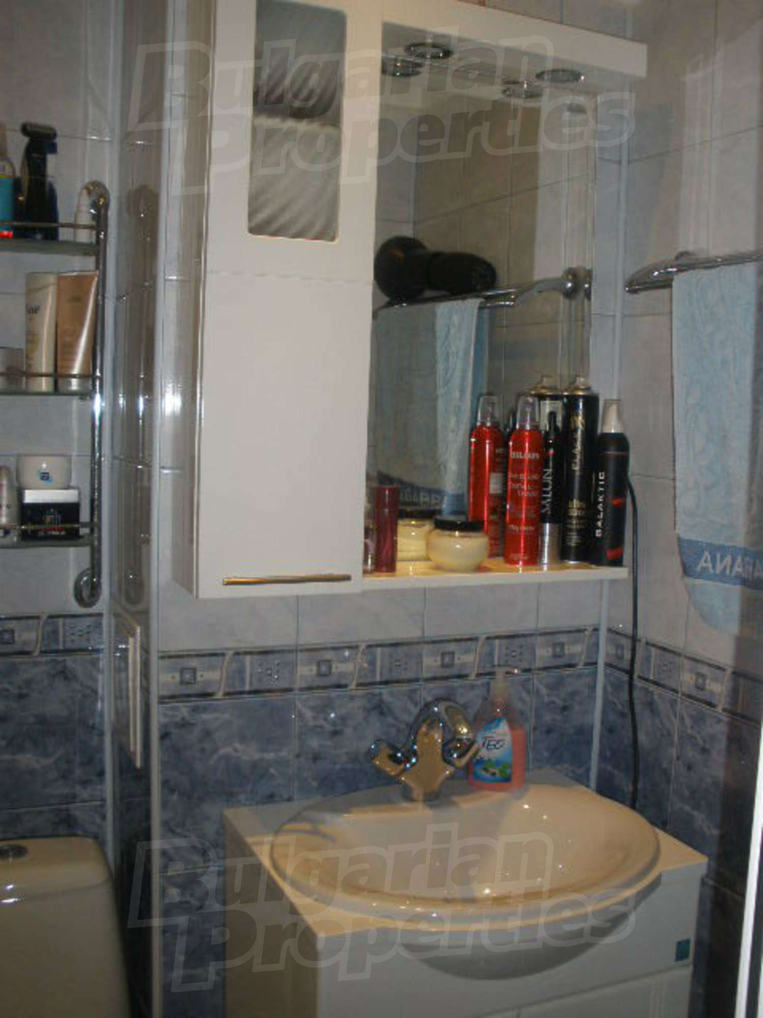 Gallery Picture 13