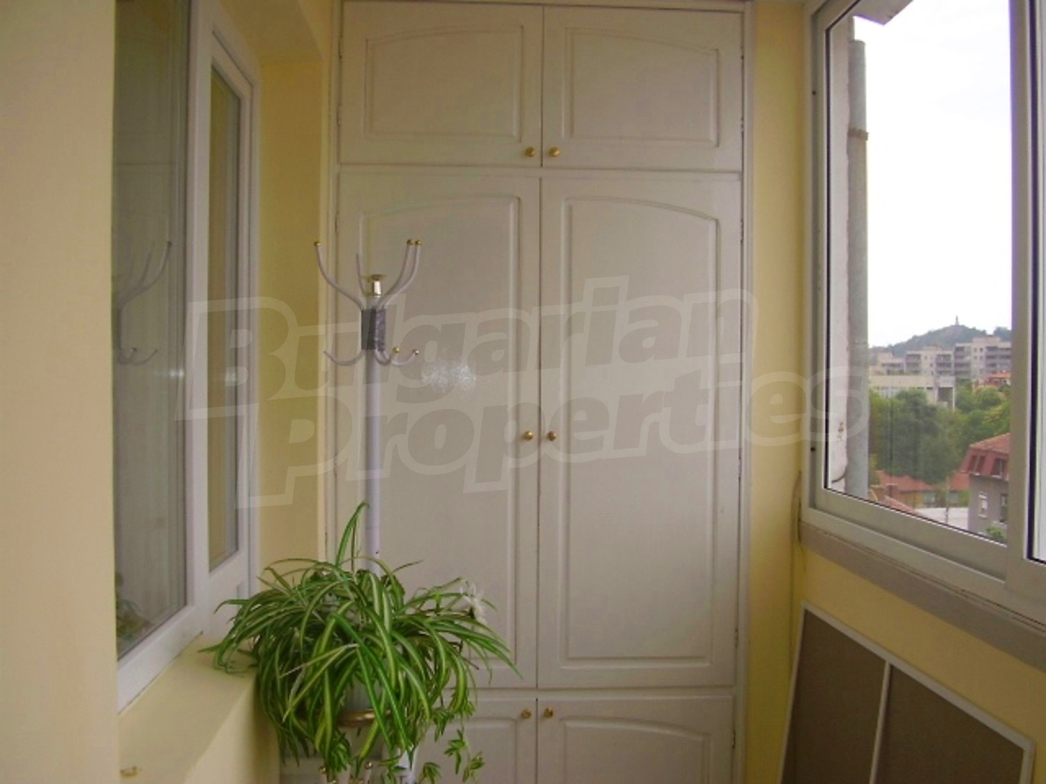 Gallery Picture 16