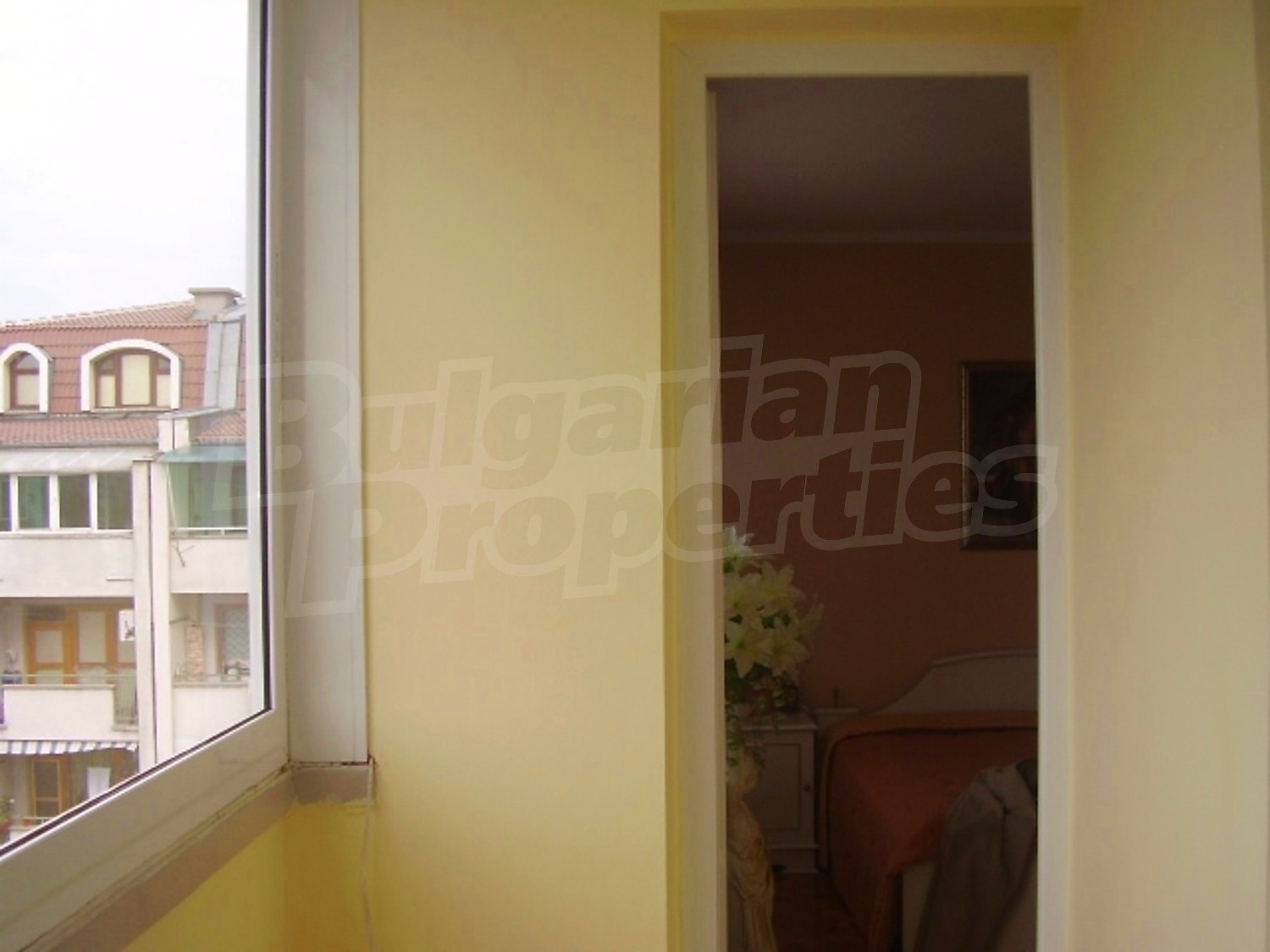 Gallery Picture 17
