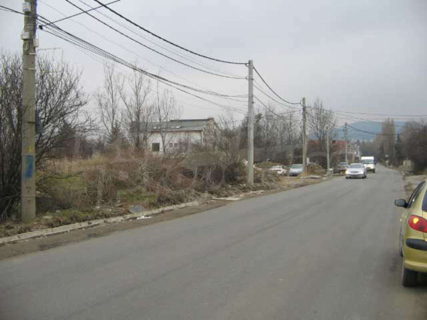 Gallery Picture 11