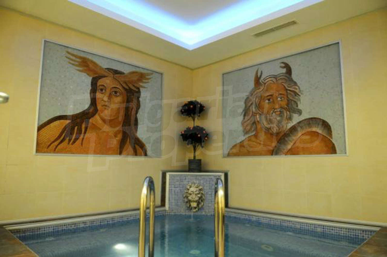 Gallery Picture 27