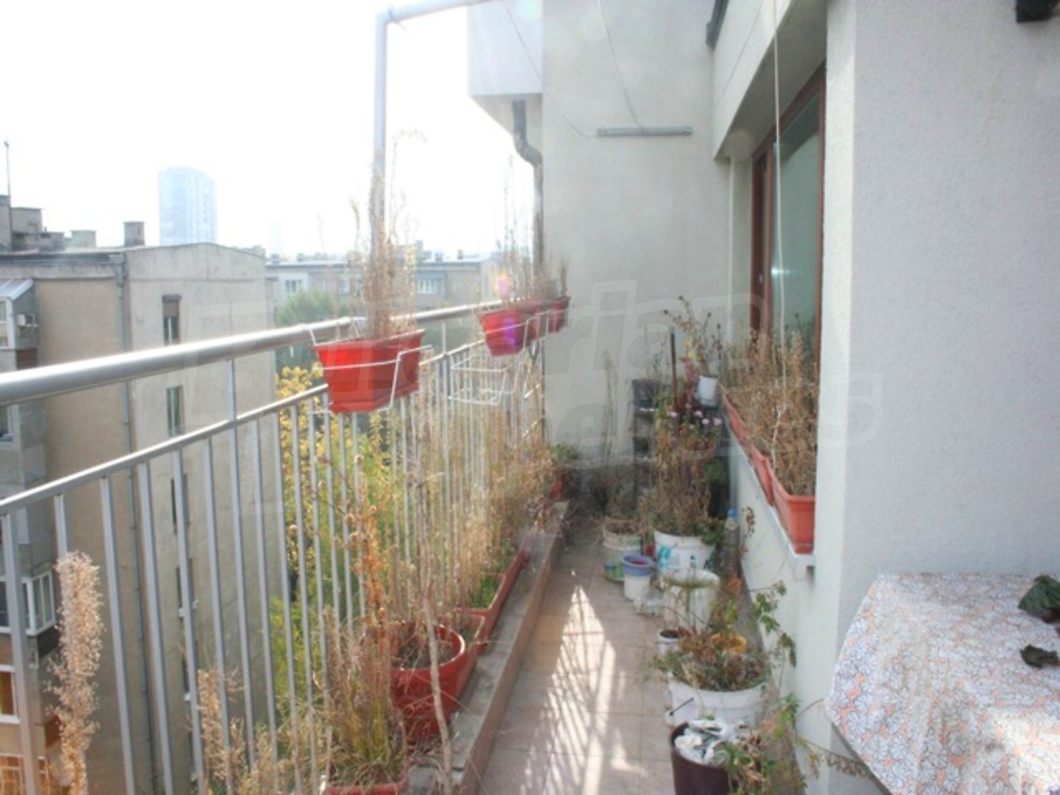 Gallery Picture 16