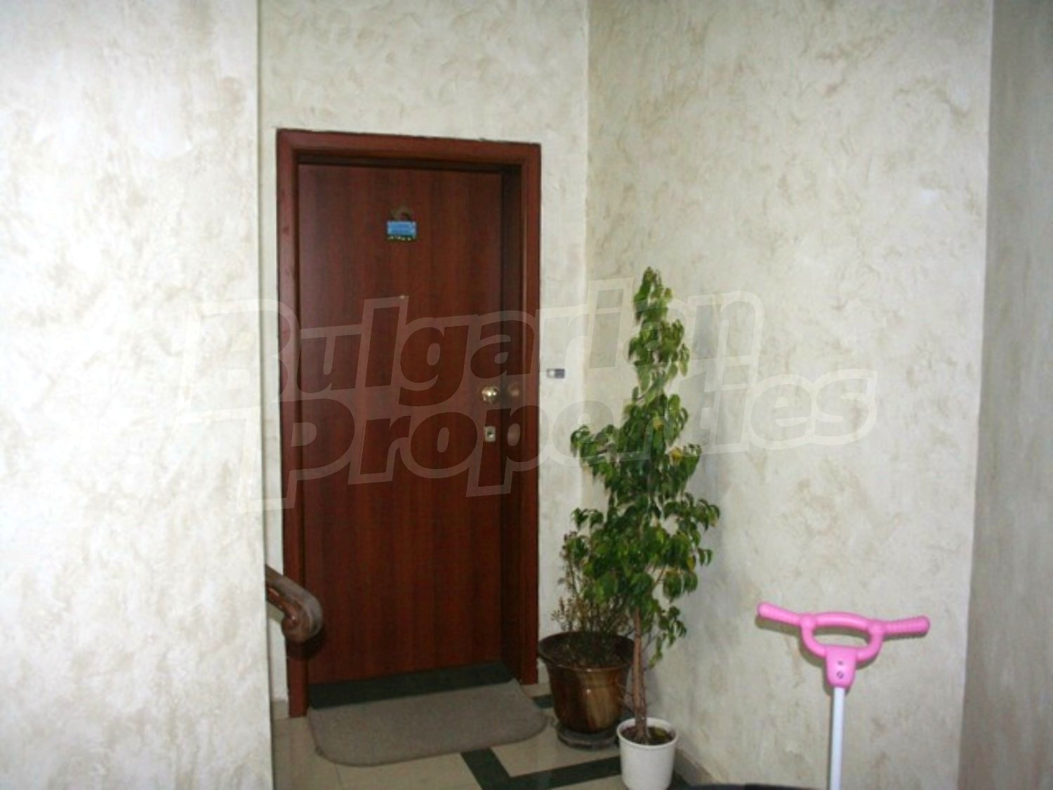 Gallery Picture 17
