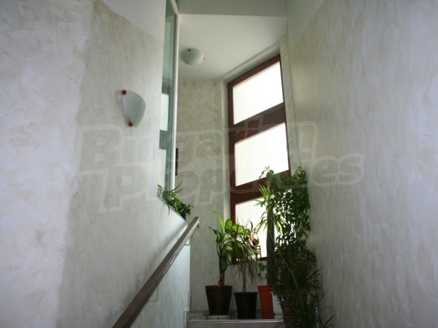 Gallery Picture 18