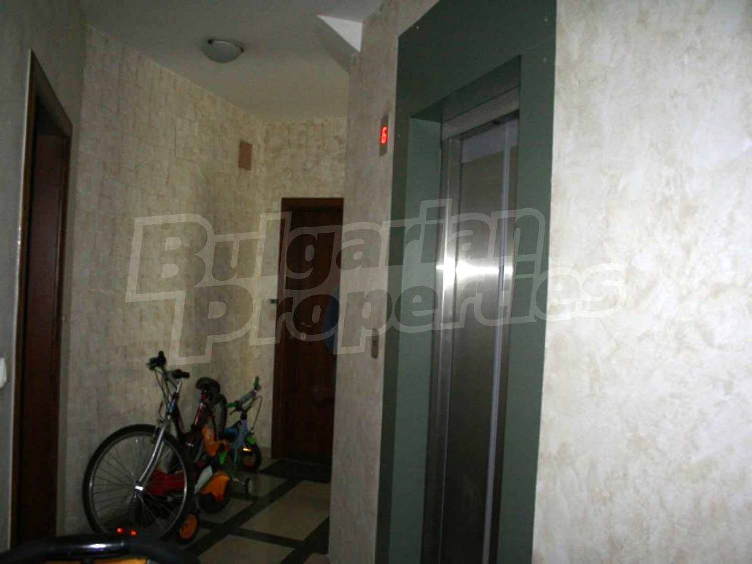 Gallery Picture 19