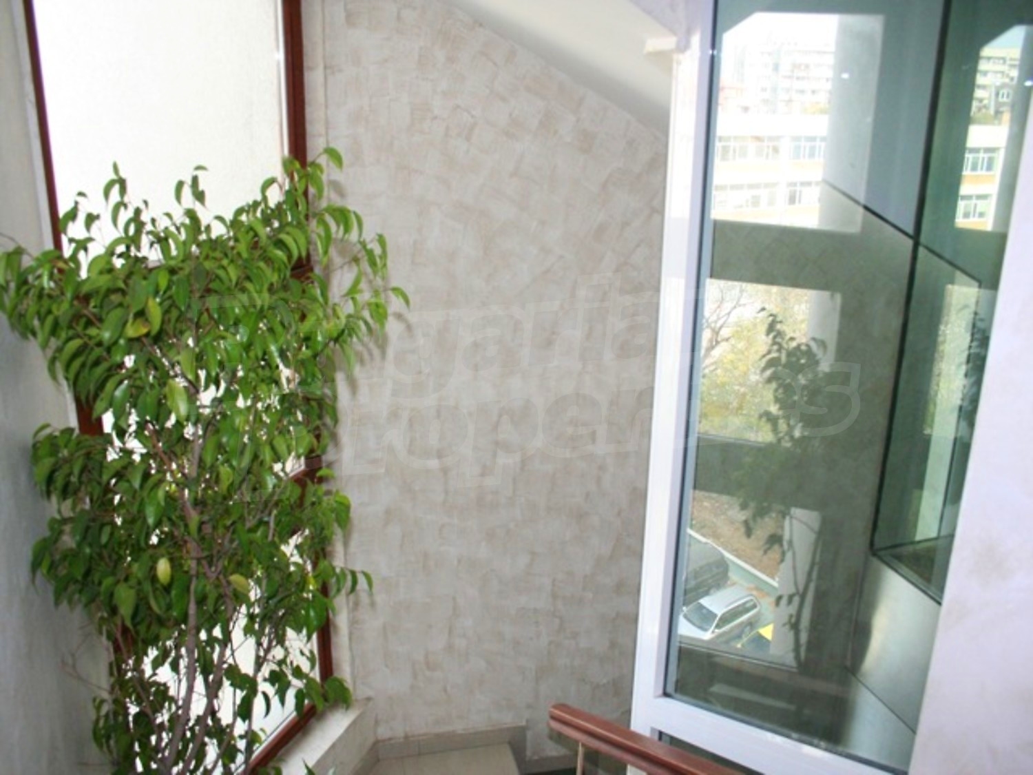 Gallery Picture 20