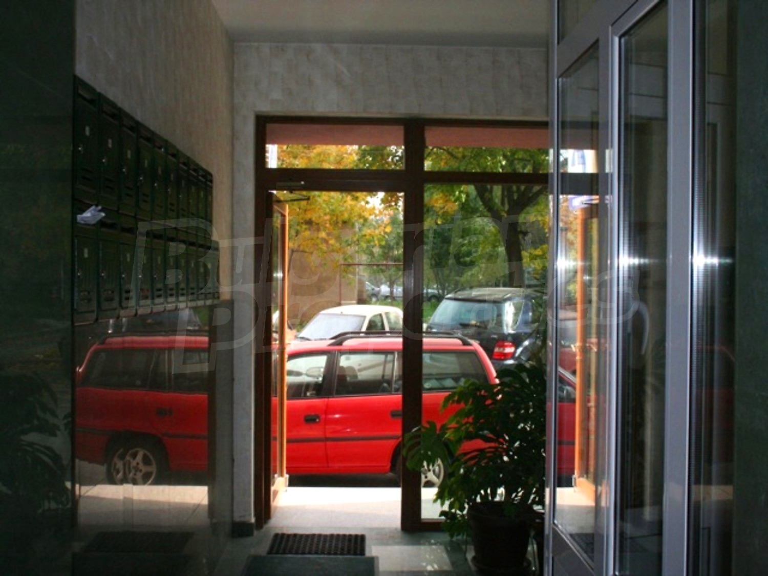 Gallery Picture 21