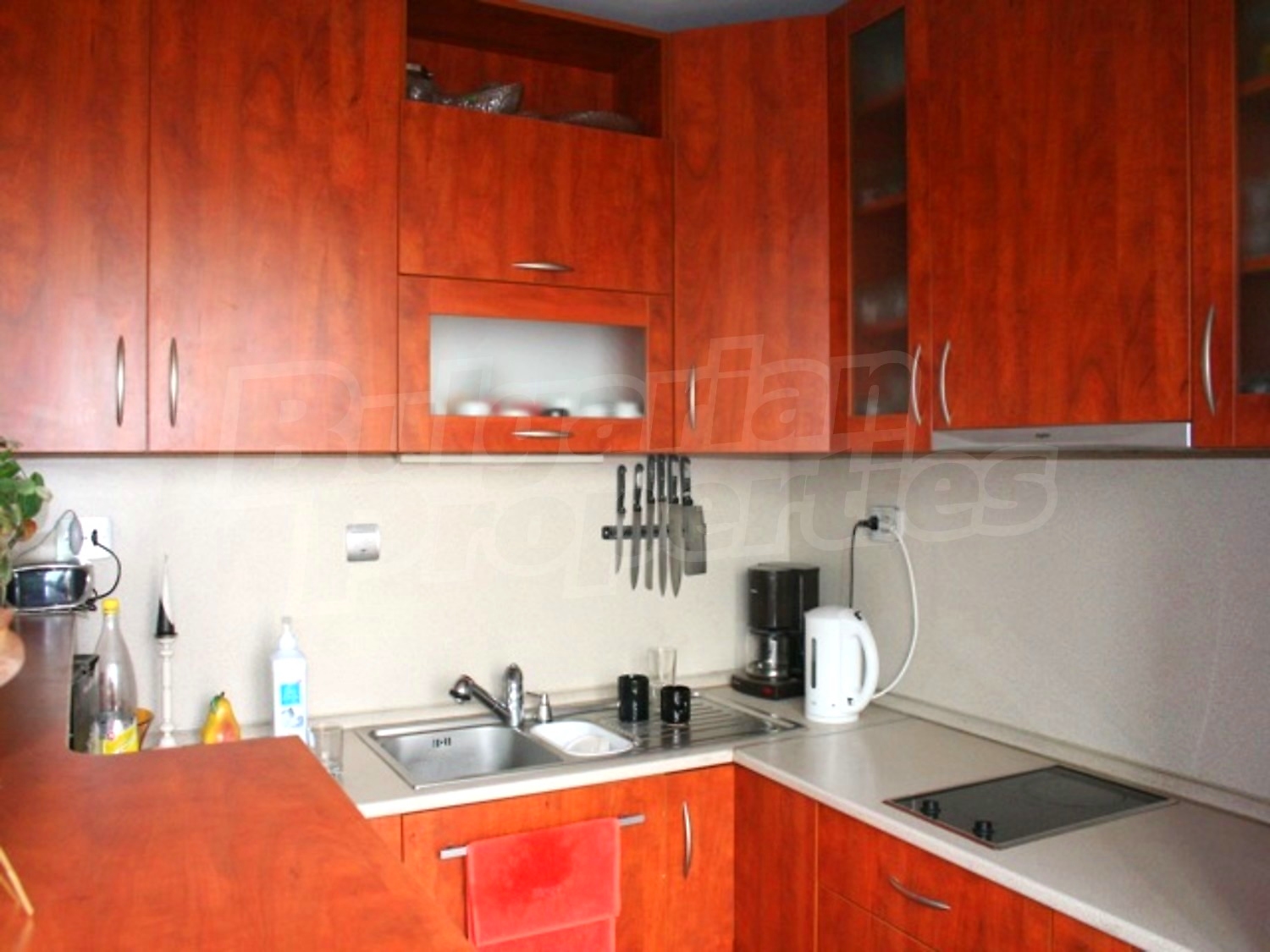 Gallery Picture 6