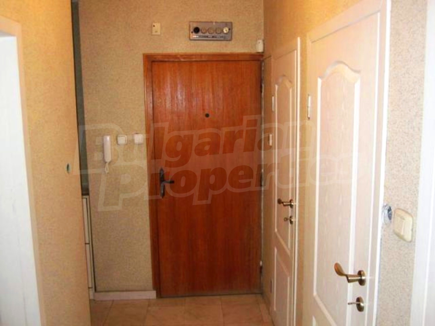 Gallery Picture 19