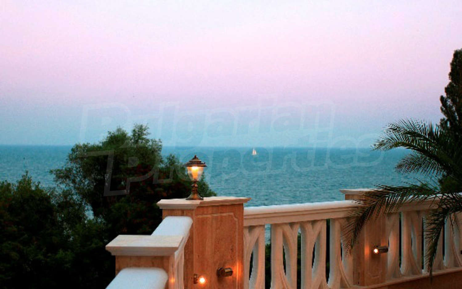 Gallery Picture 22