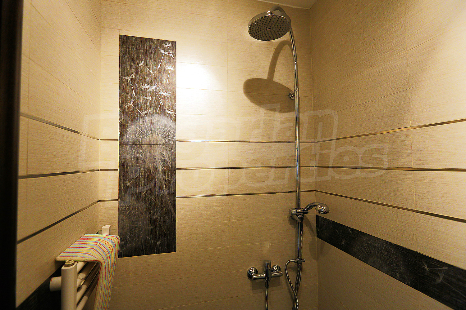 Gallery Picture 28