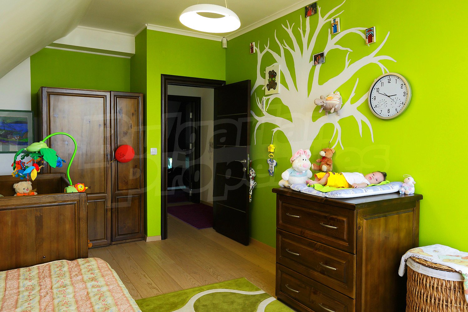 Gallery Picture 29