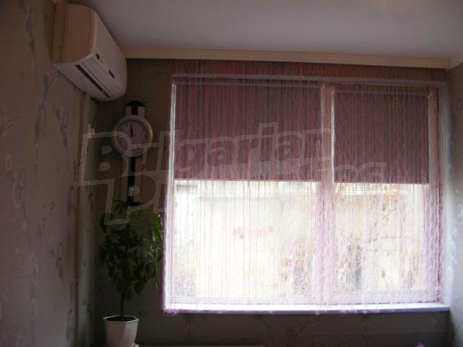 Gallery Picture 14