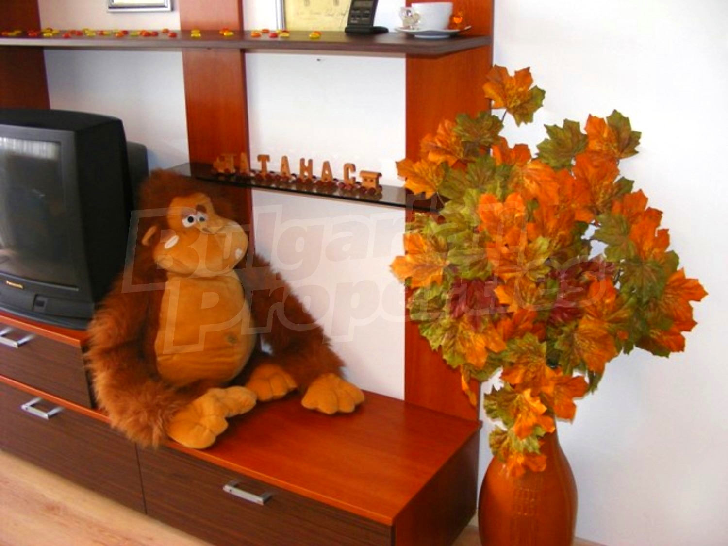 Gallery Picture 6