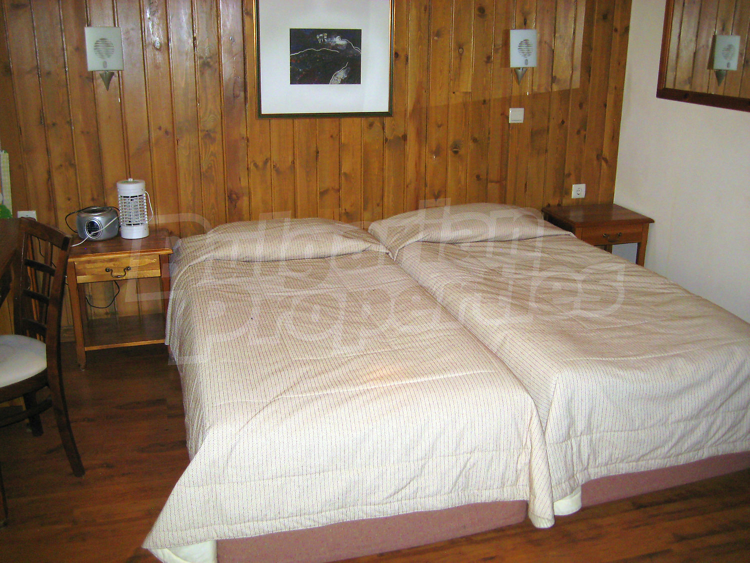Gallery Picture 24