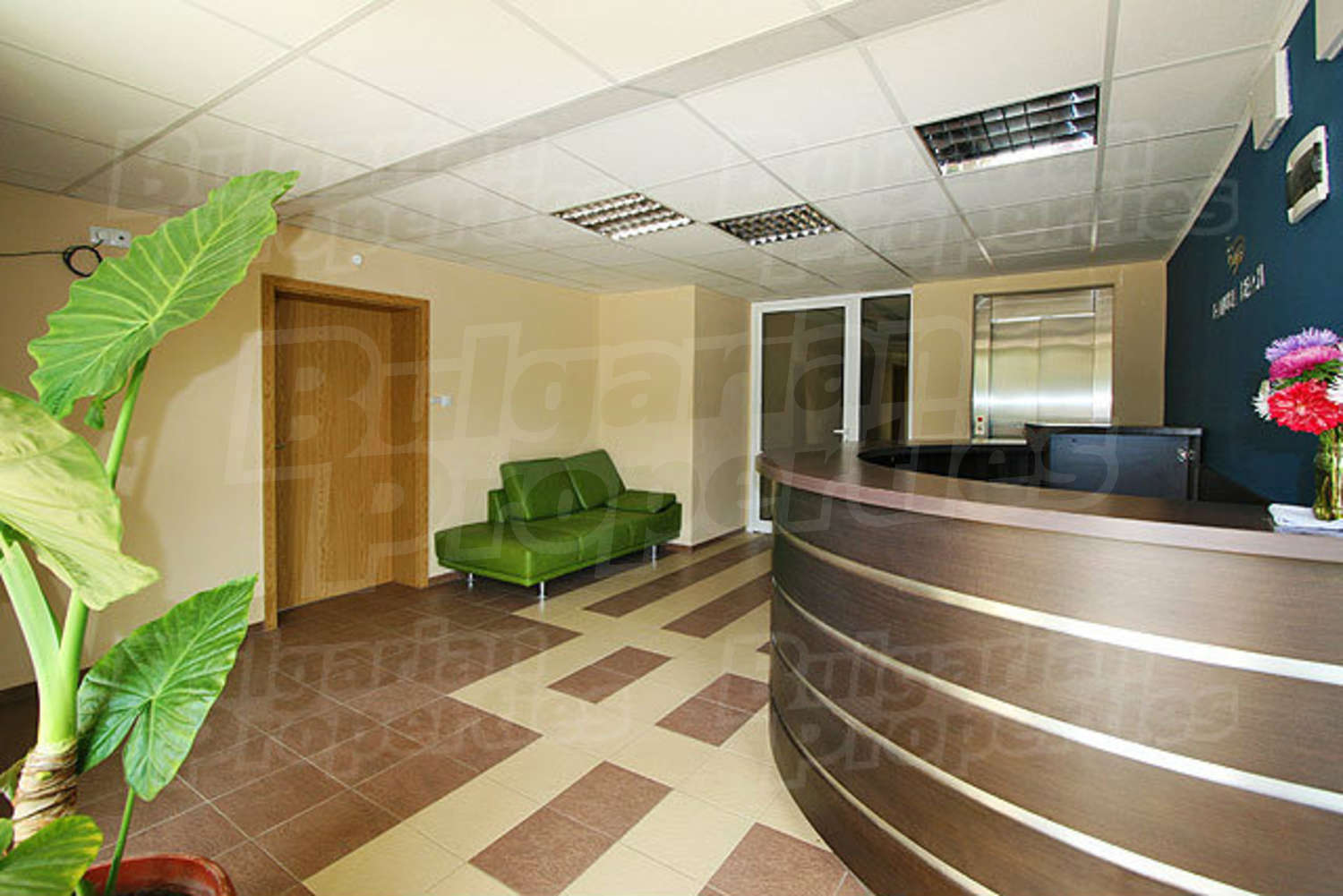 Gallery Picture 17