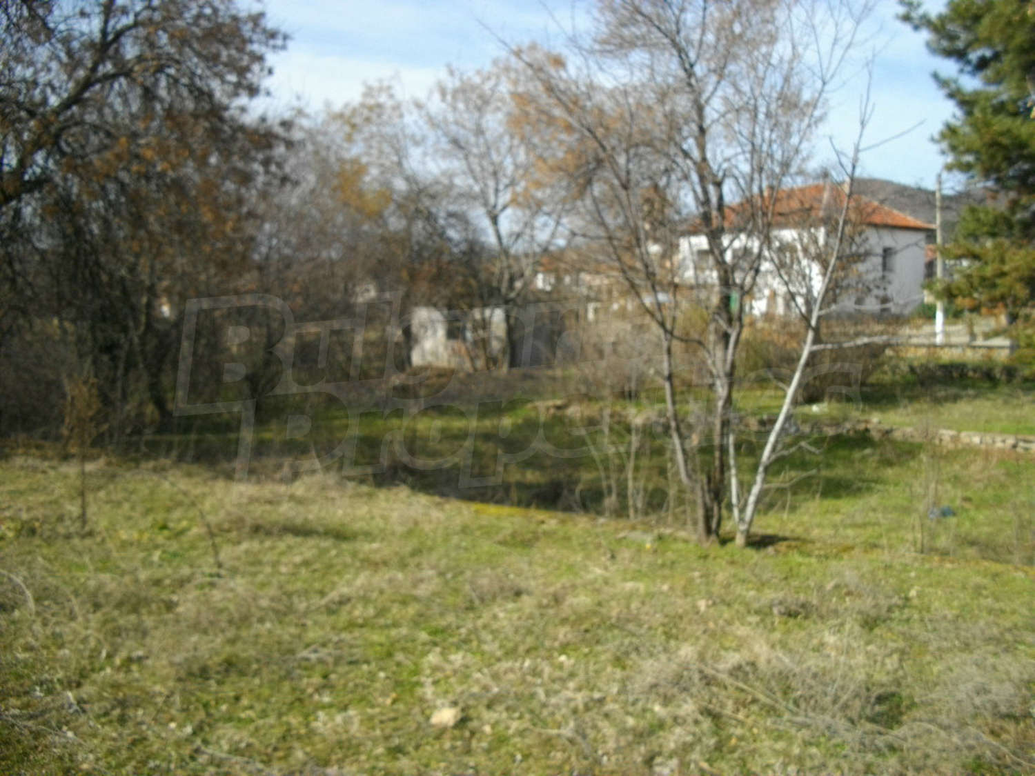 Gallery Picture 10
