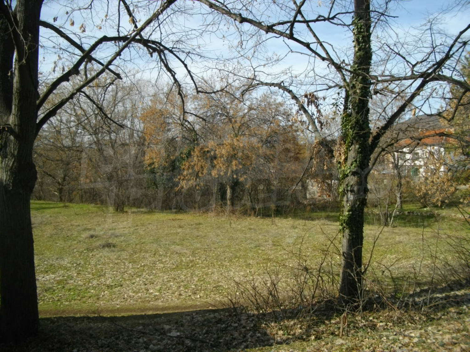 Gallery Picture 8