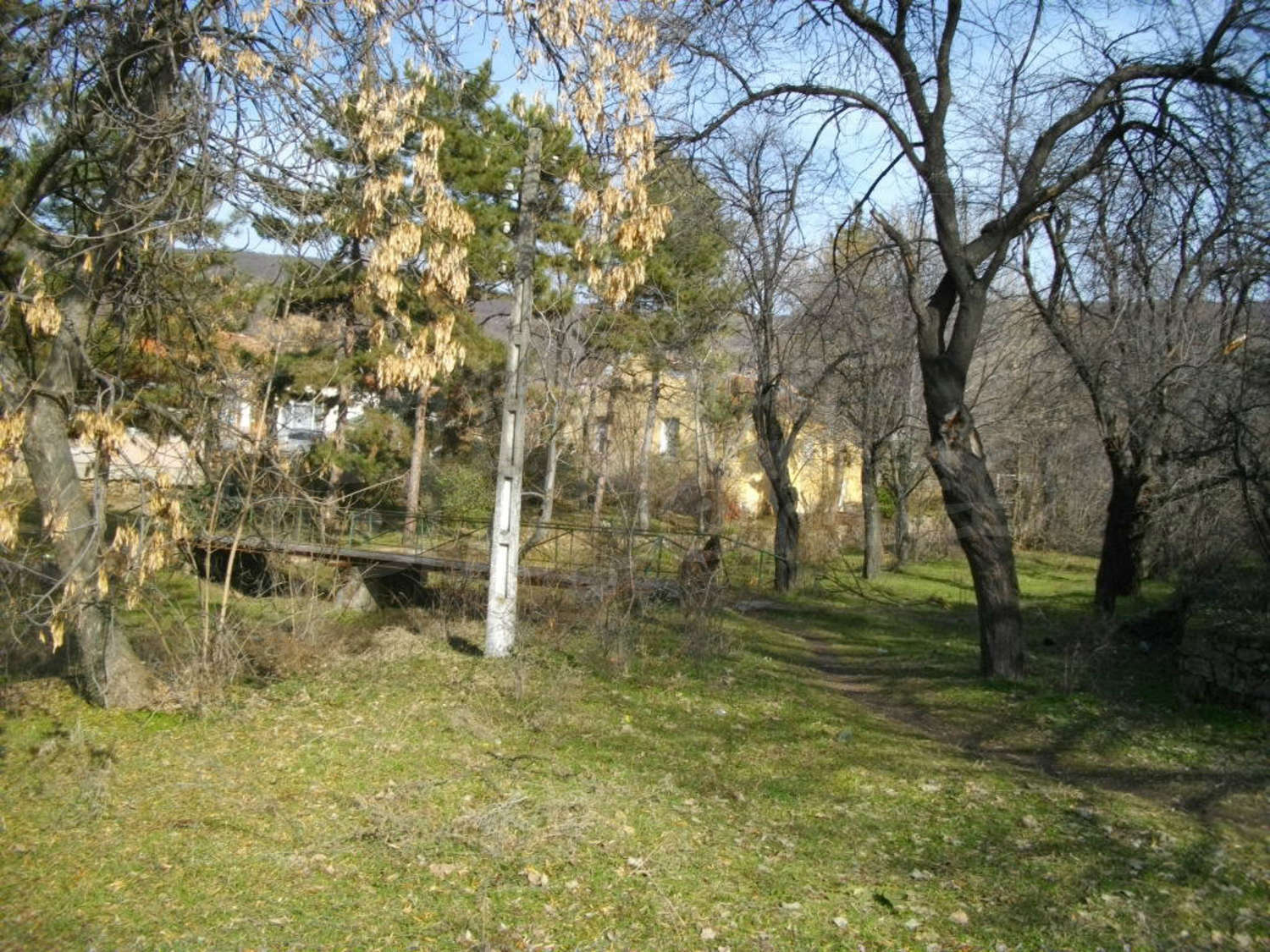 Gallery Picture 9