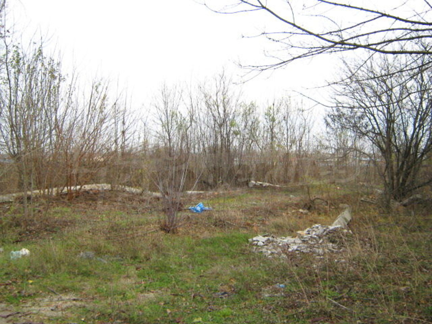 Gallery Picture 6