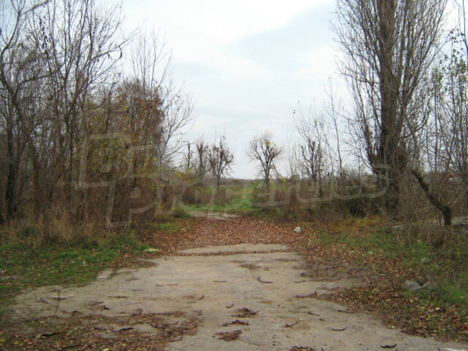 Gallery Picture 7