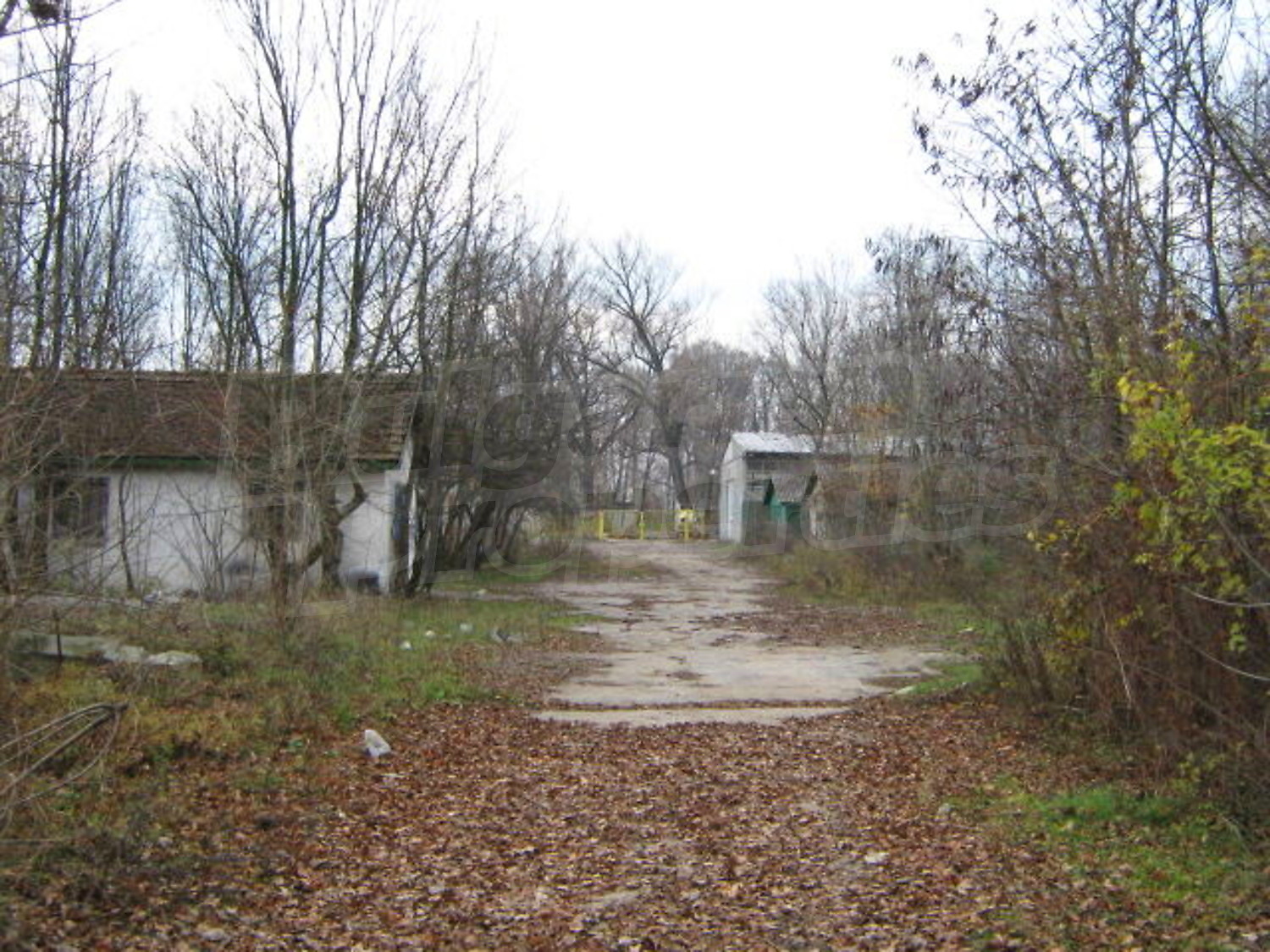 Gallery Picture 9