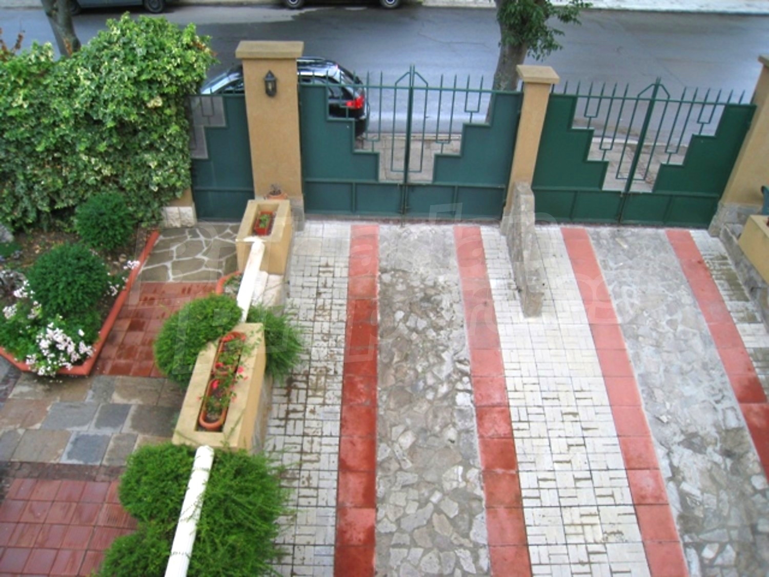 Gallery Picture 43