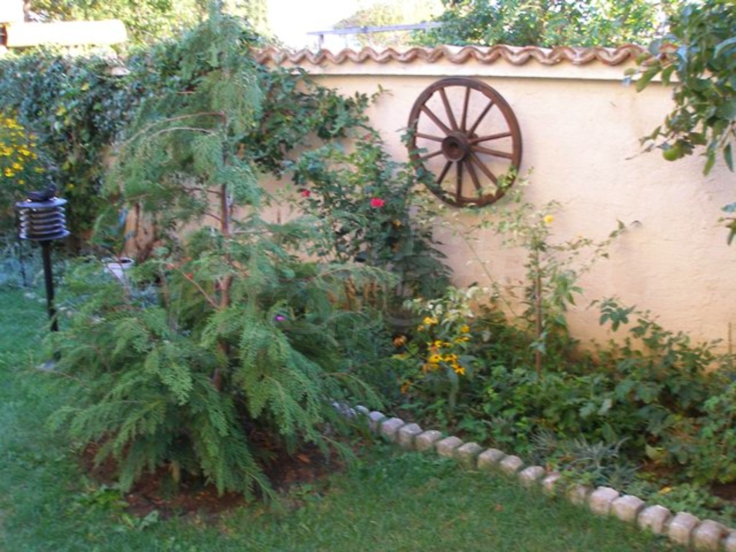 Gallery Picture 17