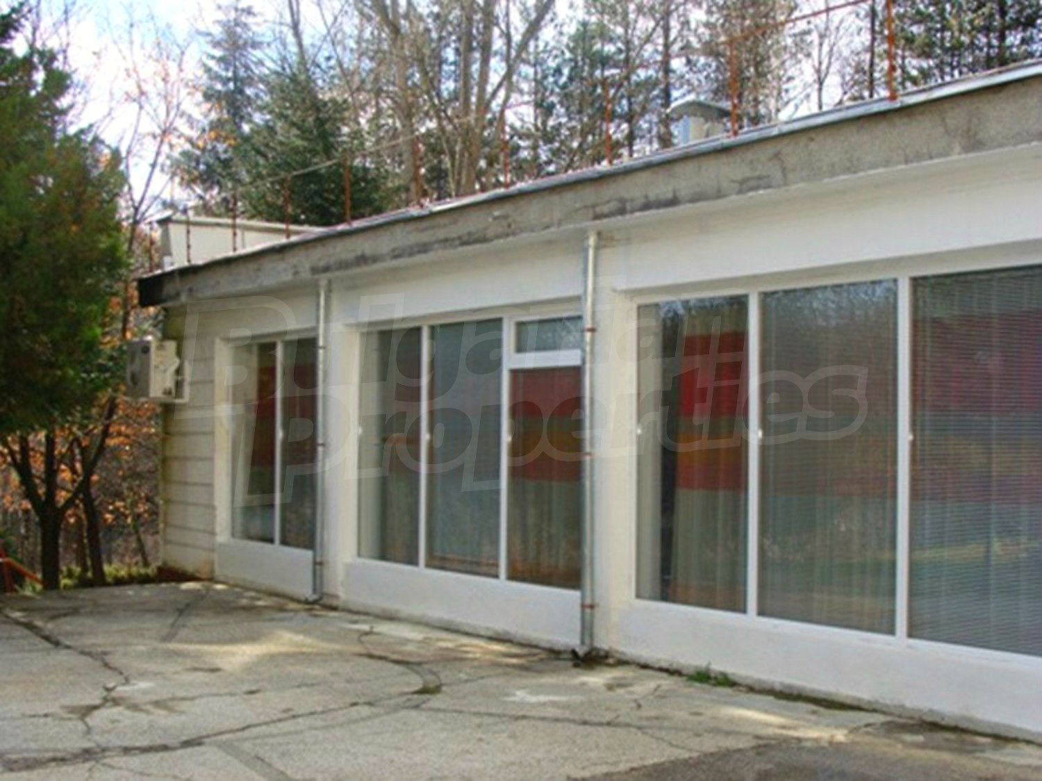 Gallery Picture 11
