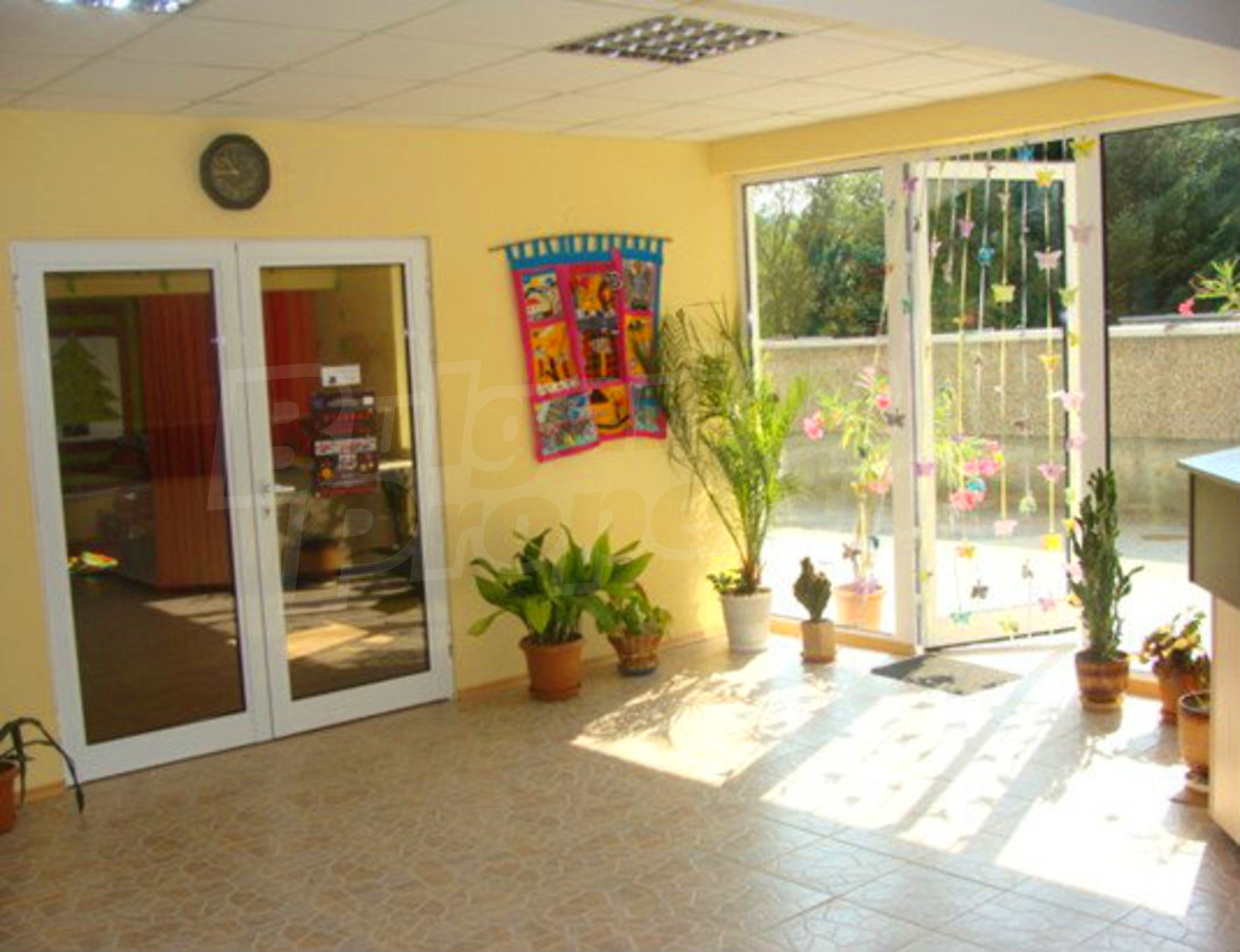 Gallery Picture 12