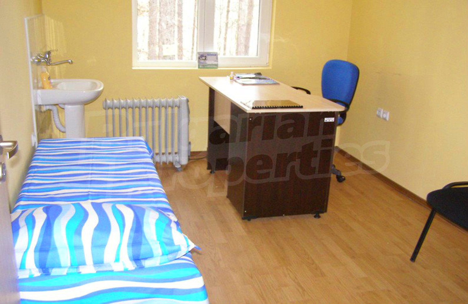 Gallery Picture 14